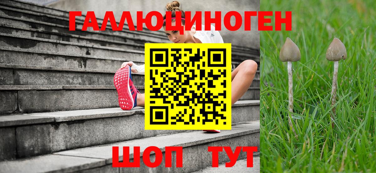 Ишимбай  где купить наркотик  Псилоцибиновые грибы MAGIC MUSHROOMS  Вход с VPN  Галлюциногенные грибы MAGIC MUSHROOMS 